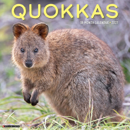 Willow Creek Quokkas Kalender 2027