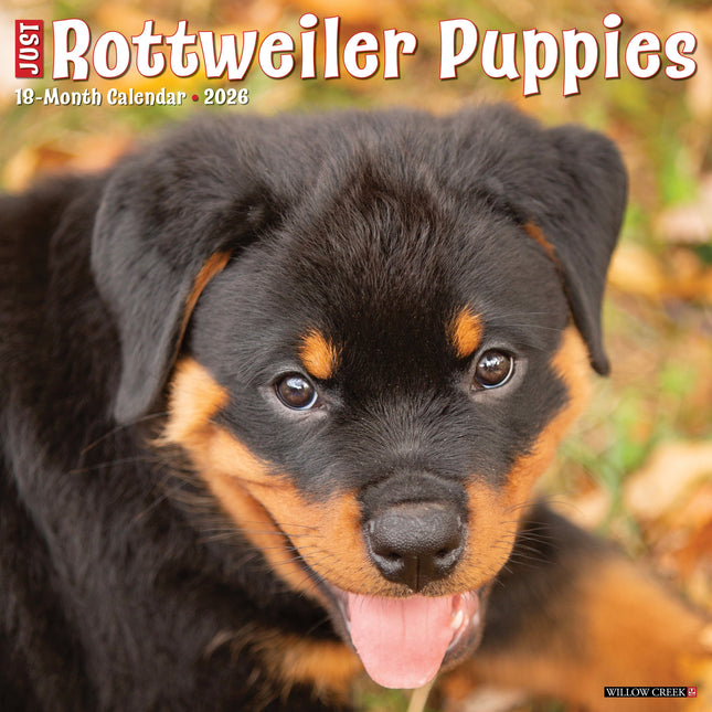 Willow Creek Rottweiler Puppies Kalender 2026