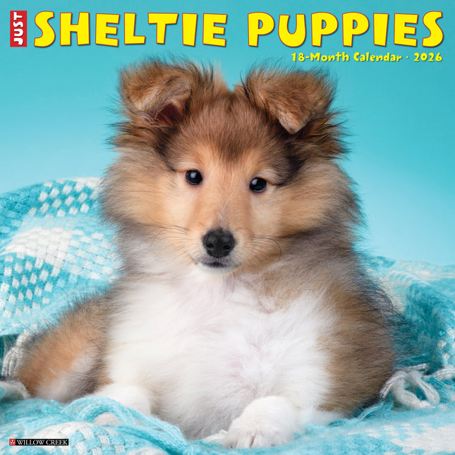 Willow Creek Shetland Sheepdog Puppies Kalender 2026