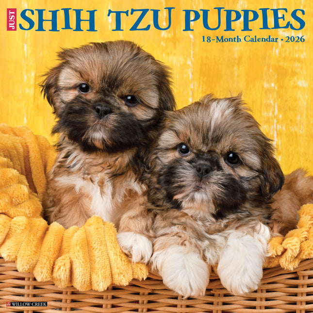 Willow Creek Shih Tzu Puppies Kalender 2026