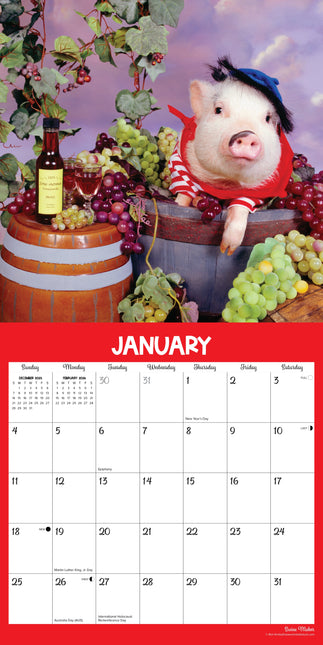 Willow Creek Spelende Varkens Kalender 2026