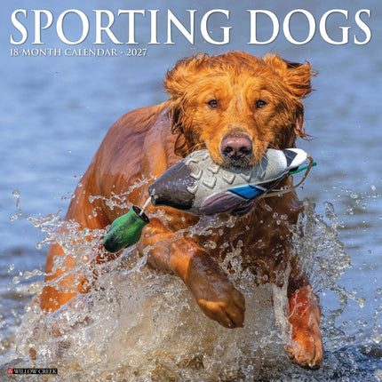 Willow Creek Sportieve Honden Kalender 2027