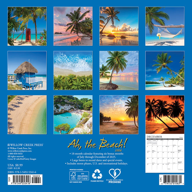 Willow Creek Strand Kalender 2026 Mini