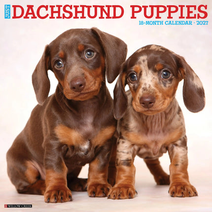 Willow Creek Teckel Puppies Kalender 2027