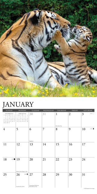 Willow Creek Tijger Kalender 2026