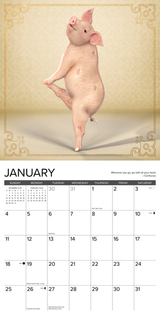 Willow Creek Varken Pilates Kalender 2026
