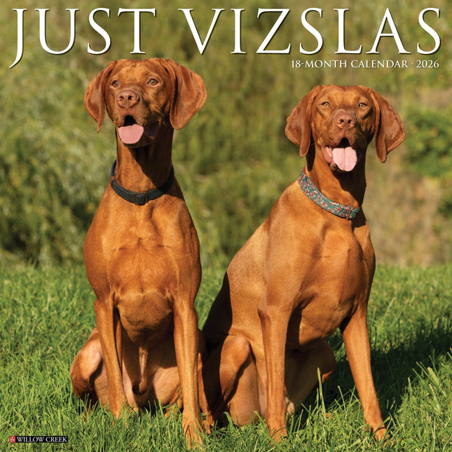 Willow Creek Vizsla Kalender 2026