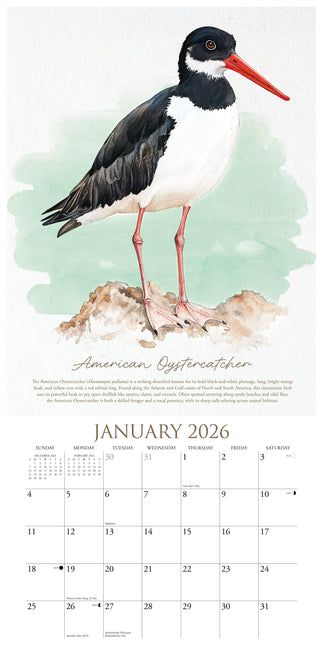 Willow Creek Vogelkunst Kalender 2026