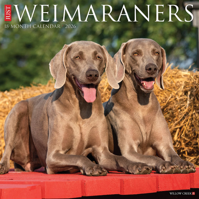 Willow Creek Weimaraner Kalender 2026