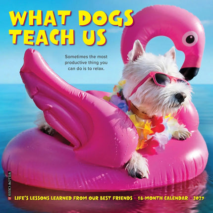 Willow Creek What Dogs Teach Us Kalender 2027 Mini