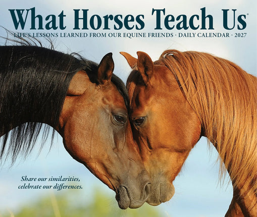 Willow Creek What Horses Teach Us Scheurkalender 2027 Boxed