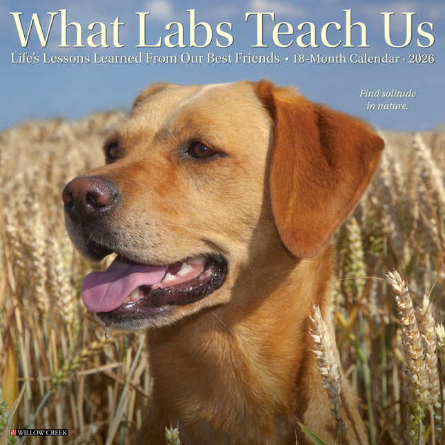 Willow Creek What Labs Teach Us Kalender 2026