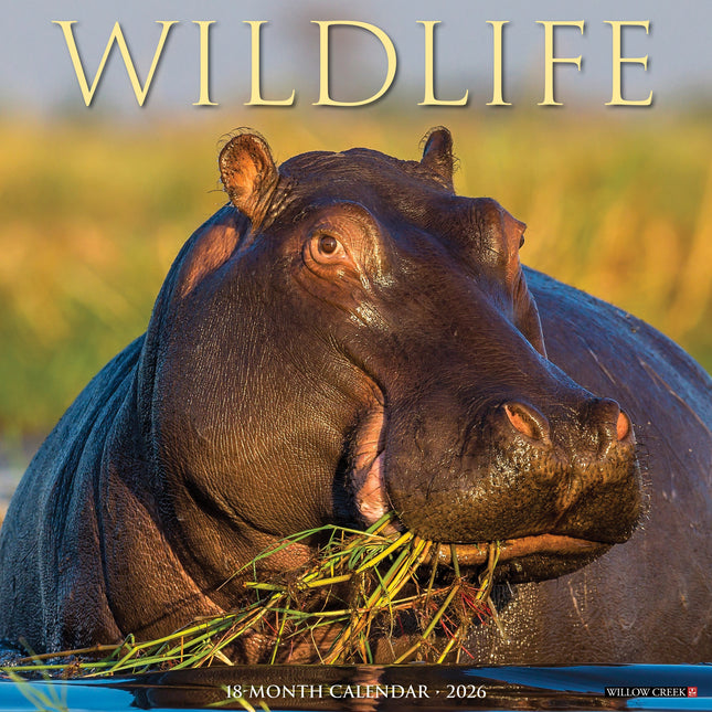Willow Creek Wildlife Kalender 2026