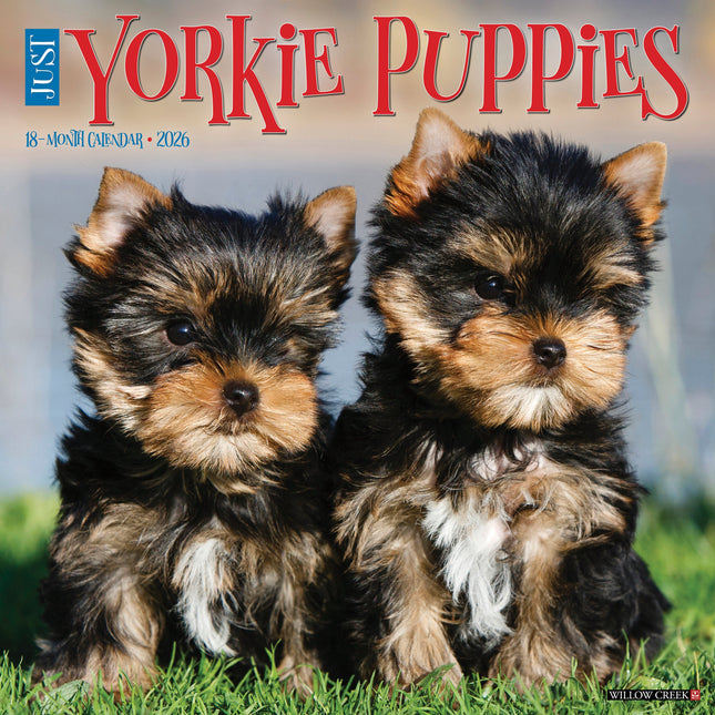 Willow Creek Yorkshire Terrier Puppies Kalender 2026