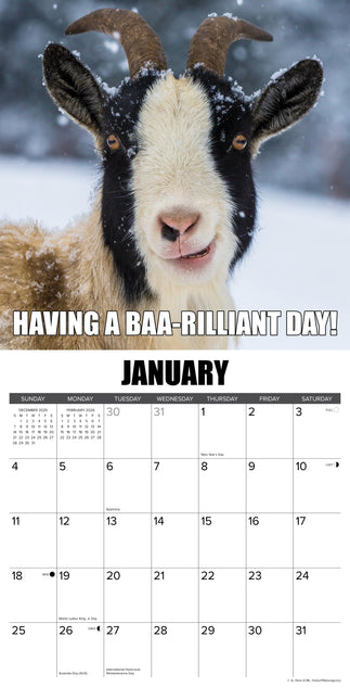 Willow Creek You Goat This Kalender 2026