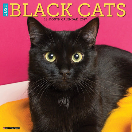 Willow Creek Zwarte Katten Kalender 2027