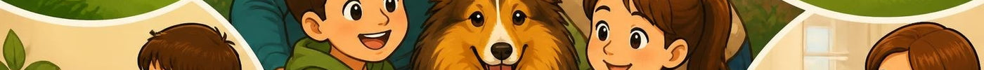 Shetland sheepdog: alles over dit trouwe ras