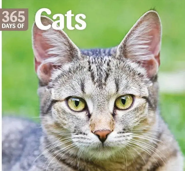 katten kalenders