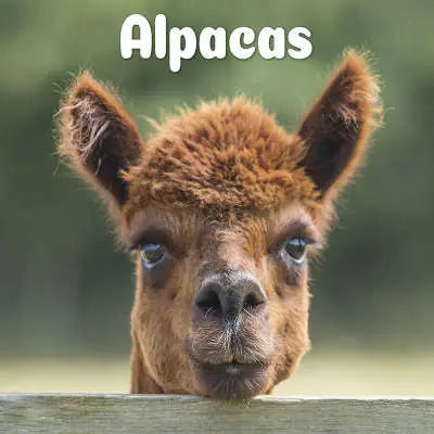 Alpaca Kalender kopen? | Ruim Aanbod & Scherpe Prijzen‎