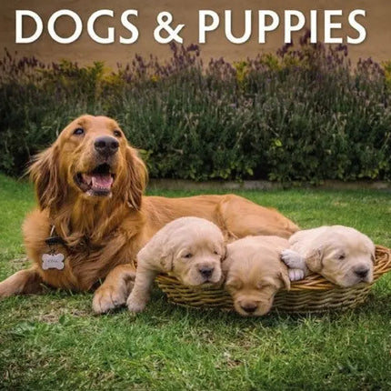 dogs-and-puppies-kalender-2025 (2)