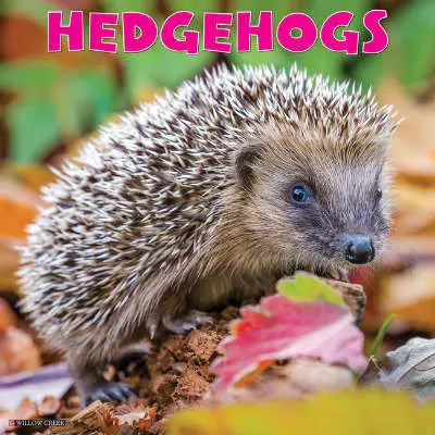 Egel