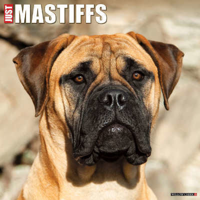 Engelse Mastiff