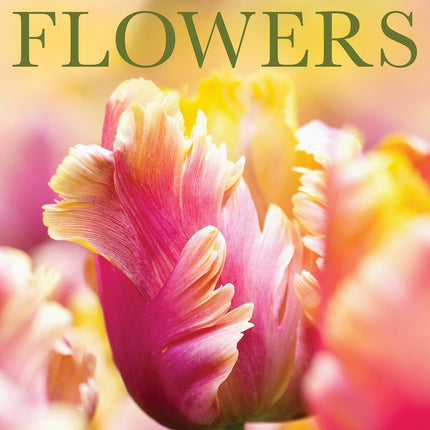 flowers-kalender-2025