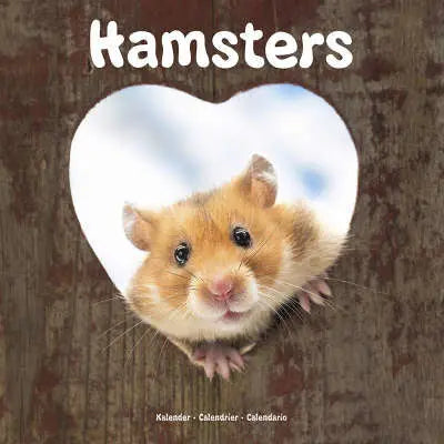 hamster