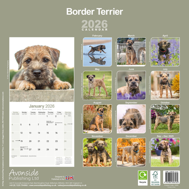 Border Terrier Kalender Achterkant