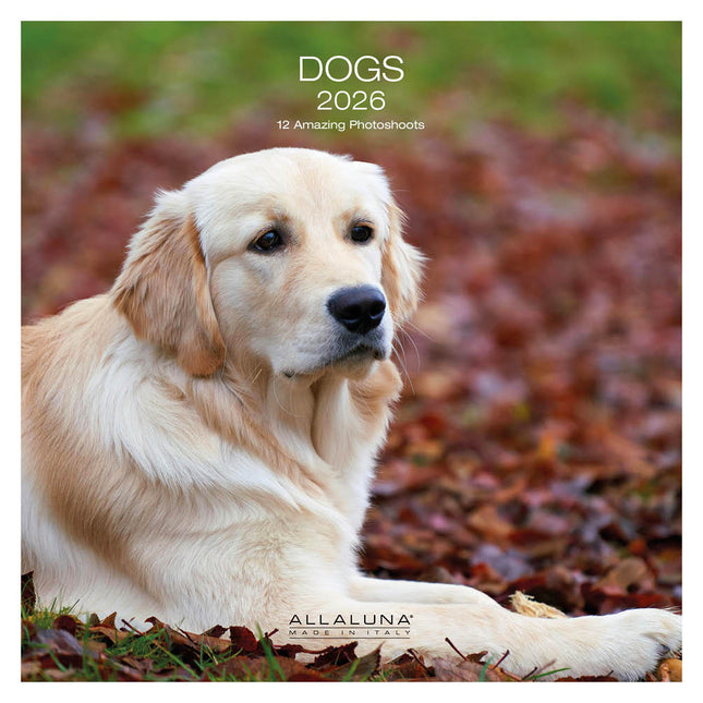 Allaluna Honden Kalender 2026