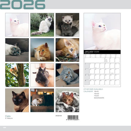 Allaluna Katten Kalender 2026