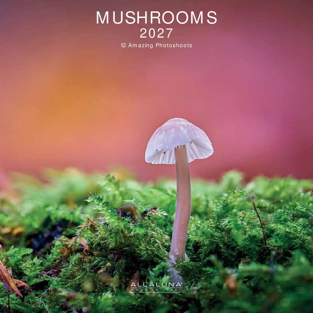 Allaluna Mushrooms Kalender 2027