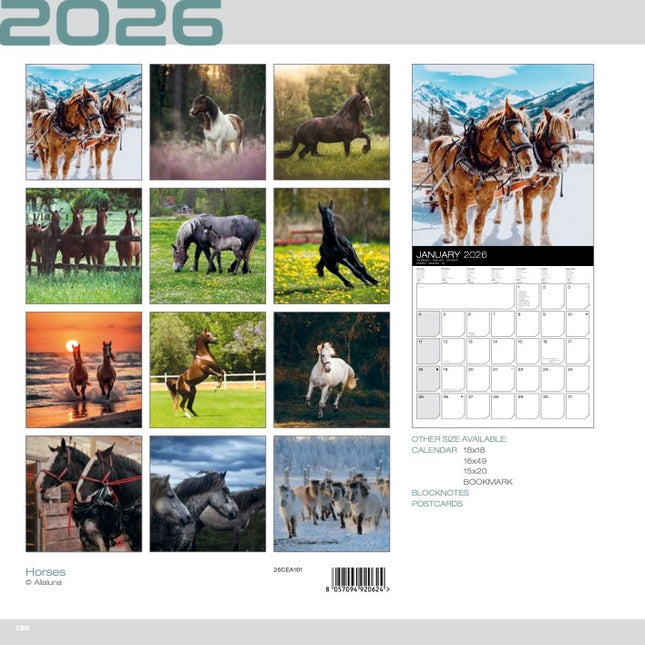 Allaluna Paarden Kalender 2026