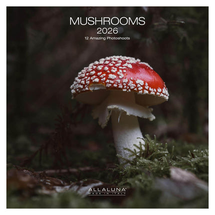Allaluna Paddenstoelen Kalender 2026