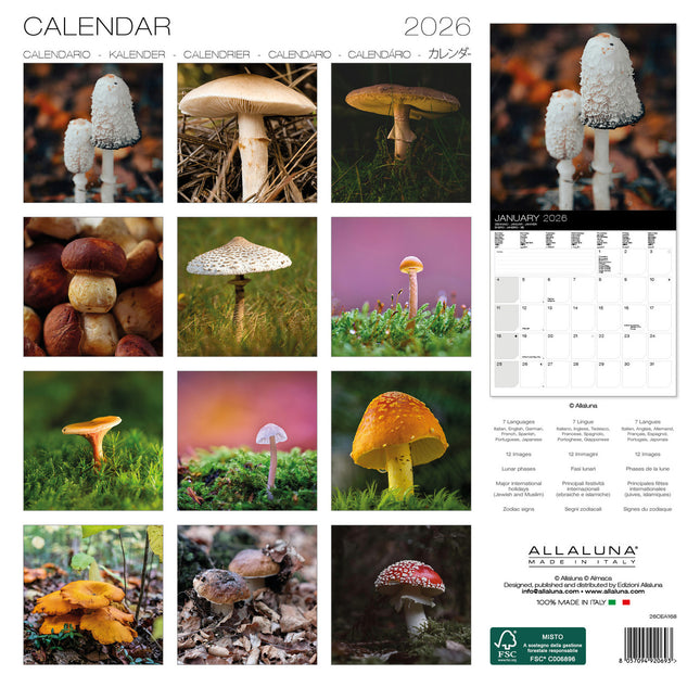 Allaluna Paddenstoelen Kalender 2026