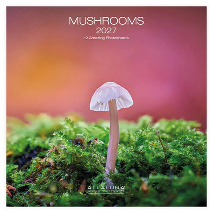 Allaluna Paddenstoelen Kalender 2027