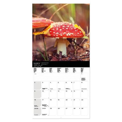 Allaluna Paddenstoelen Kalender 2027