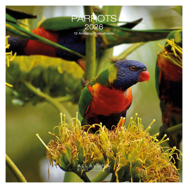 Allaluna Papegaaien Kalender 2026