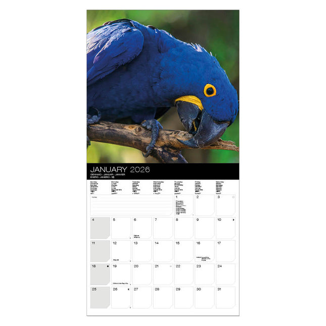 Allaluna Papegaaien Kalender 2026