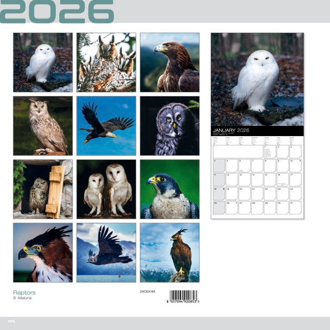 Allaluna Roofvogels Kalender 2026