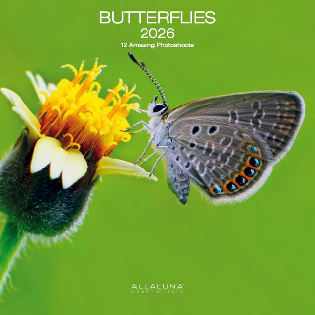 Allaluna Vlinder Kalender 2026