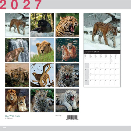 Allaluna Wilde Katten Kalender 2027