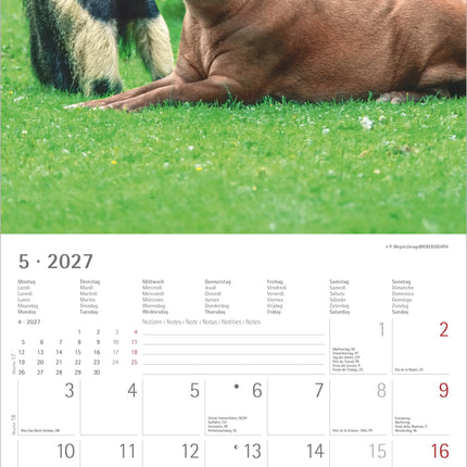 AlphaEdition Dier Vriendschappen Kalender 2027
