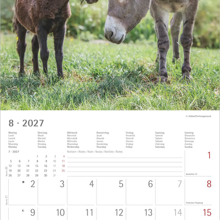AlphaEdition Dier Vriendschappen Kalender 2027