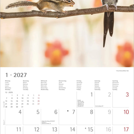 AlphaEdition Dier Vriendschappen Kalender 2027