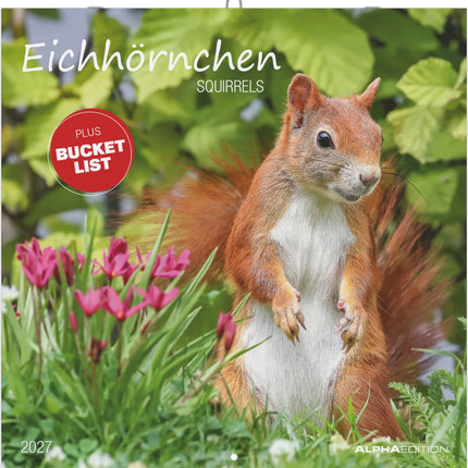 AlphaEdition Eekhoorns Kalender 2027