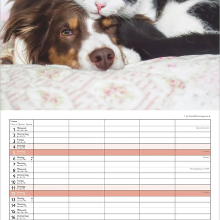 AlphaEdition FamiliePlanner Beste Vrienden Kalender 2027