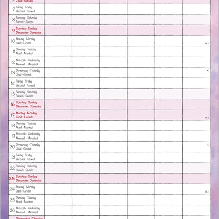 AlphaEdition Familyplanner Cartoon Kalender 2027