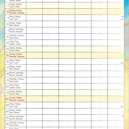 AlphaEdition Familyplanner Cartoon Kalender 2027