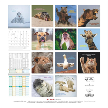 AlphaEdition Funny Animals Kalender 2027